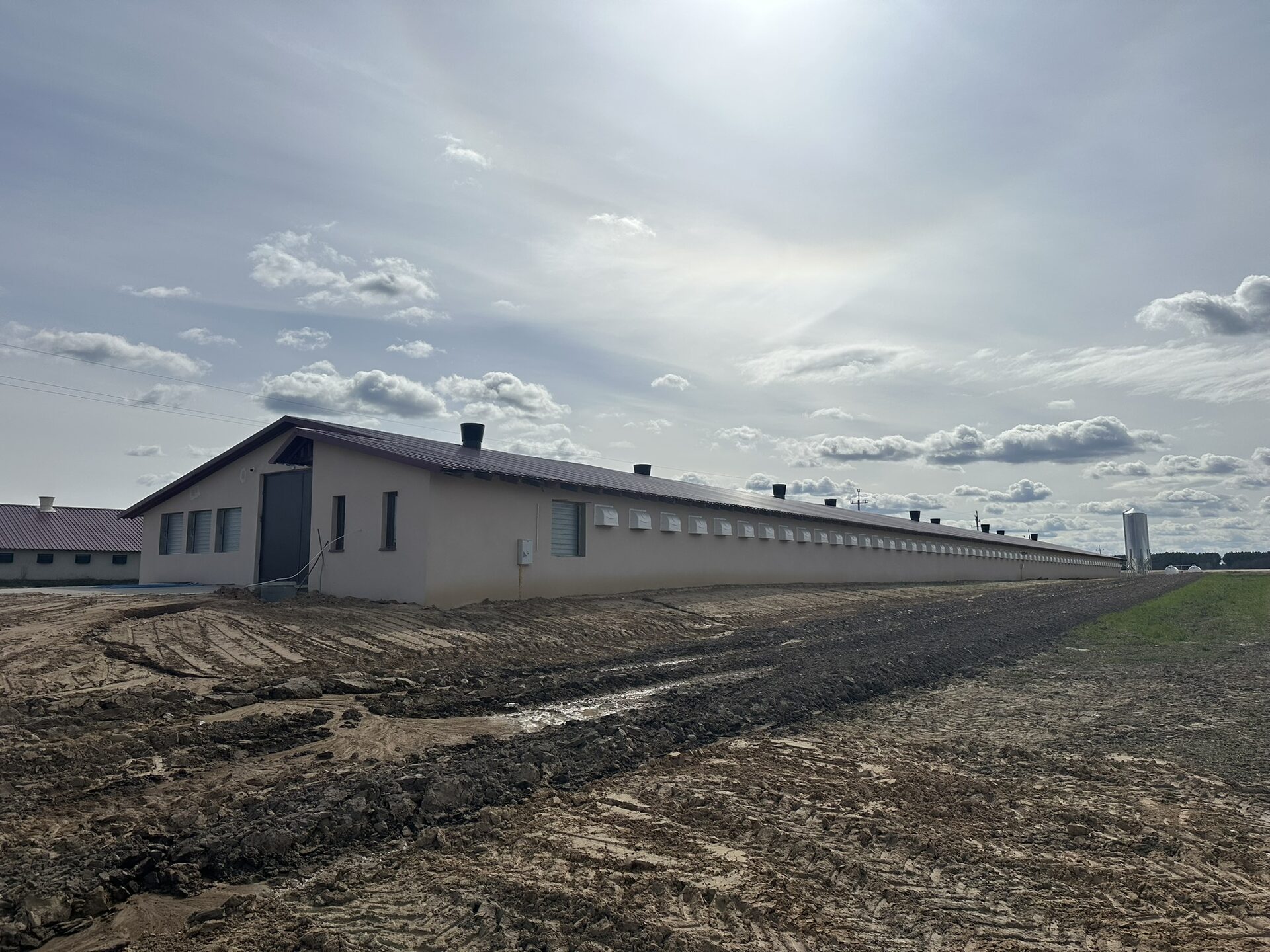 Kurnik w Kołodzieży — Cezarbud realizacja, zdjęcie 2